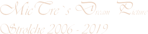 MicTre`s Dream Picture Strolche 2006 - 2019